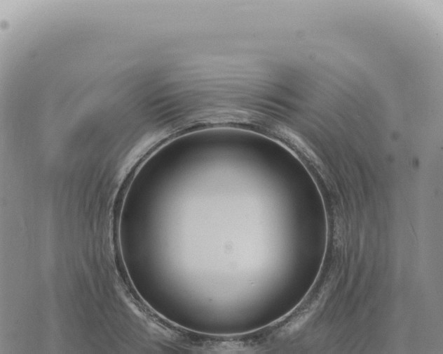 X0000073710986200608101834