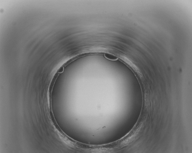 X0000073710988200608101834