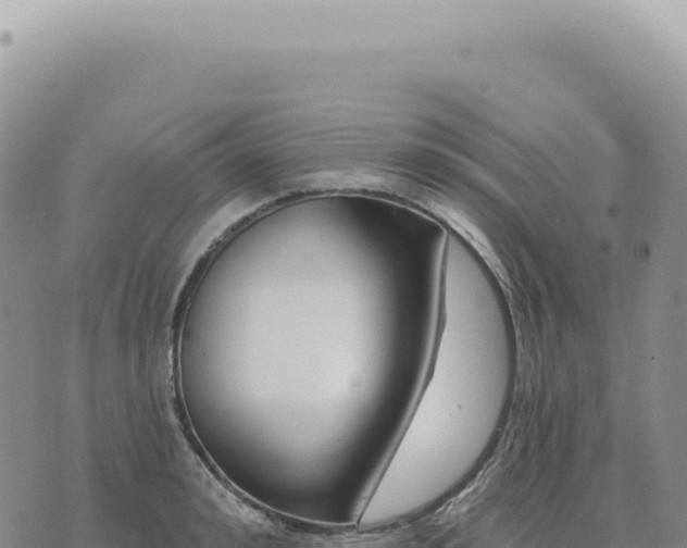 X0000073710992200608101834