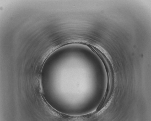 X0000073710993200608101834