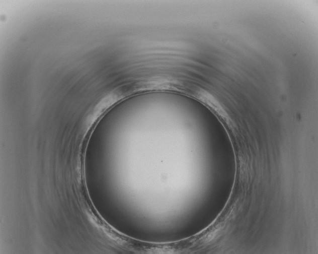 X0000073710994200608101834