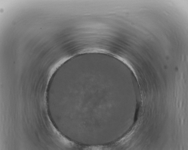 X0000073710995200608101834