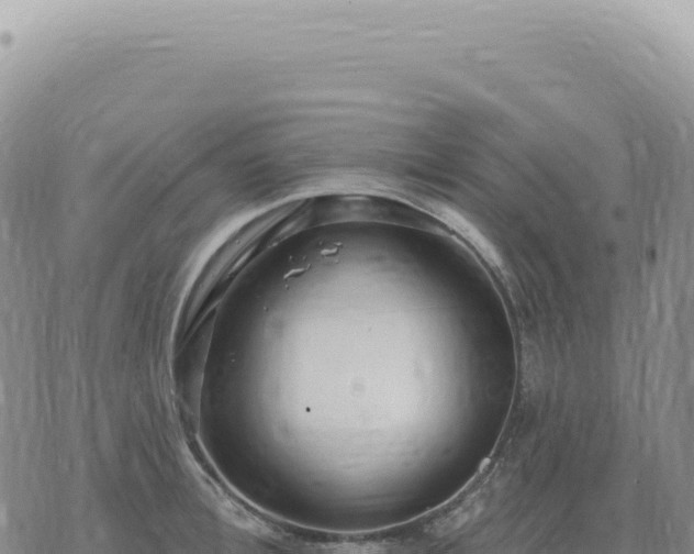 X0000073710996200608101834