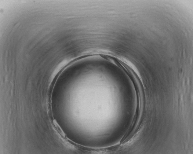 X0000073710997200608101834