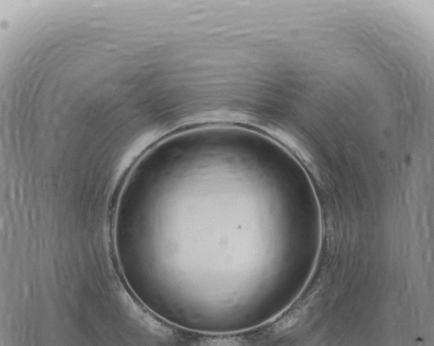 X0000073710998200608101834