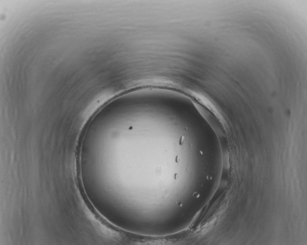 X0000073710999200608101834