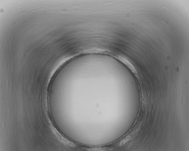 X0000073711000200608101834