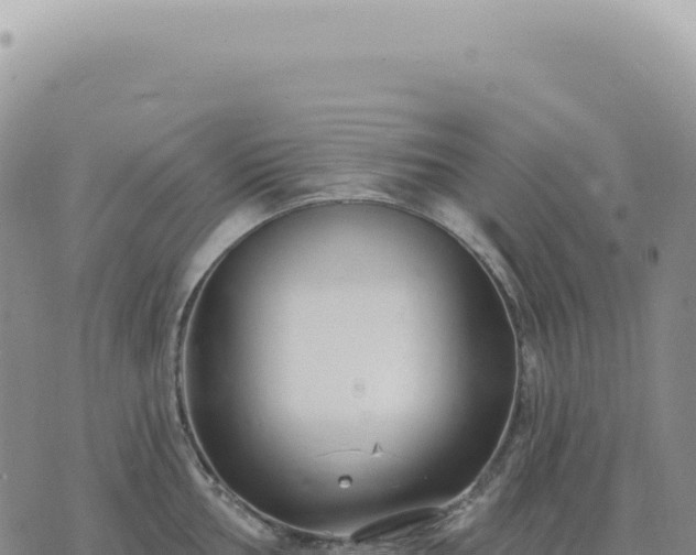 X0000073711002200608101834