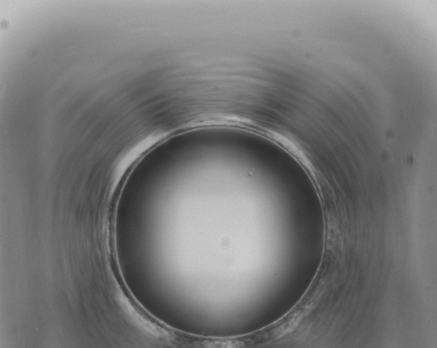 X0000073711003200608101834