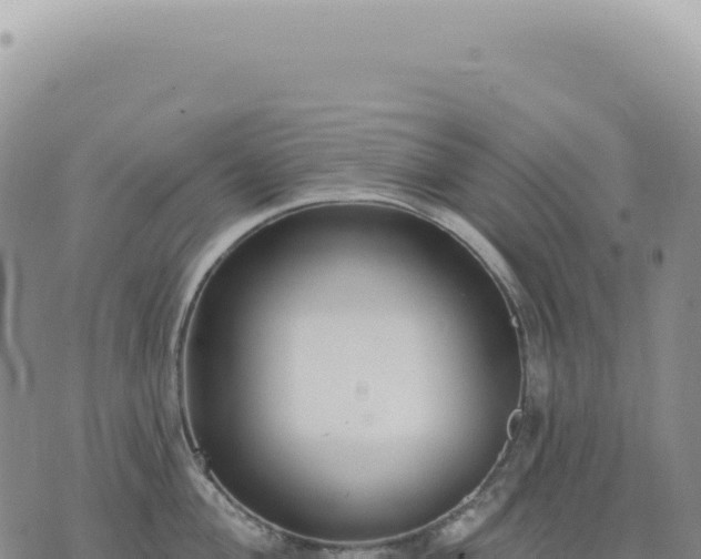 X0000073711004200608101834