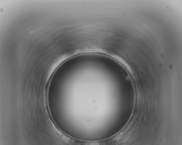 X0000073711006200608101834