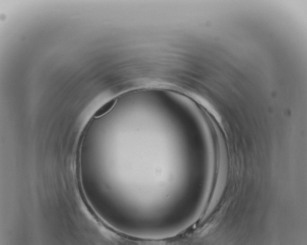 X0000073711007200608101834