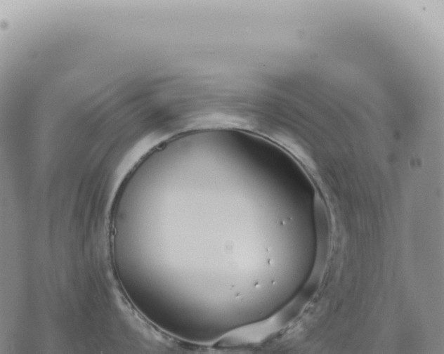 X0000073711008200608101834