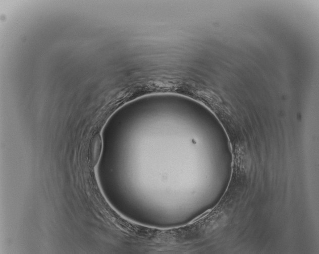 X0000073711009200608101833