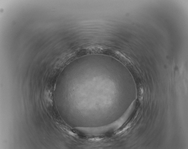 X0000073711010200608101833