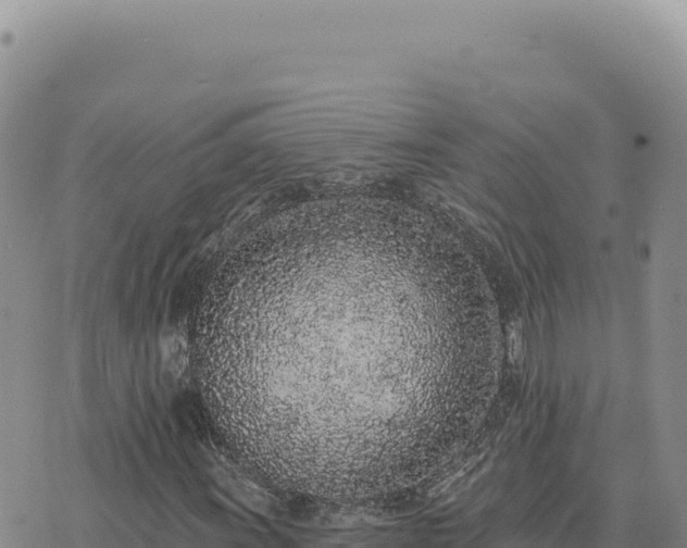 X0000073711011200608101833