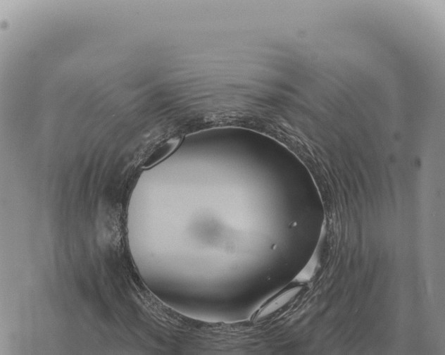 X0000073711012200608101833