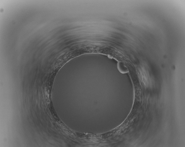 X0000073711013200608101833