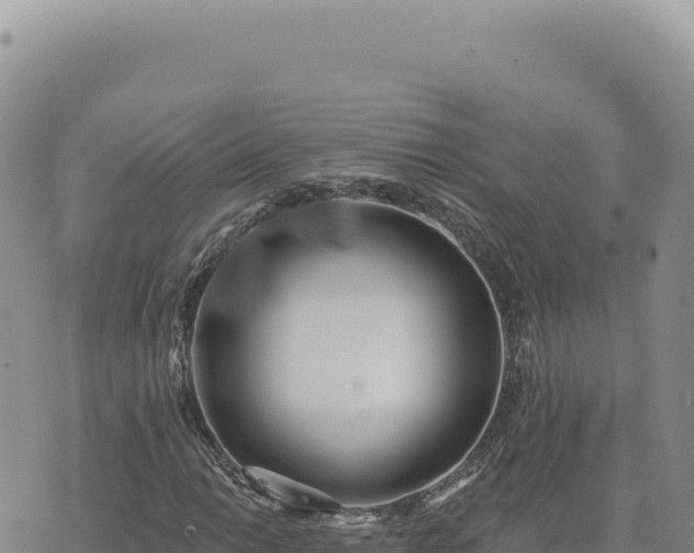 X0000073711014200608101833