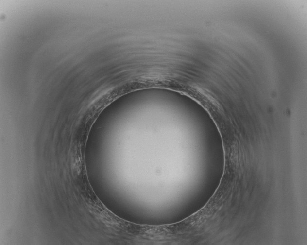 X0000073711015200608101833