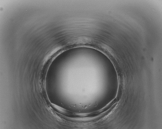 X0000073711018200608101833