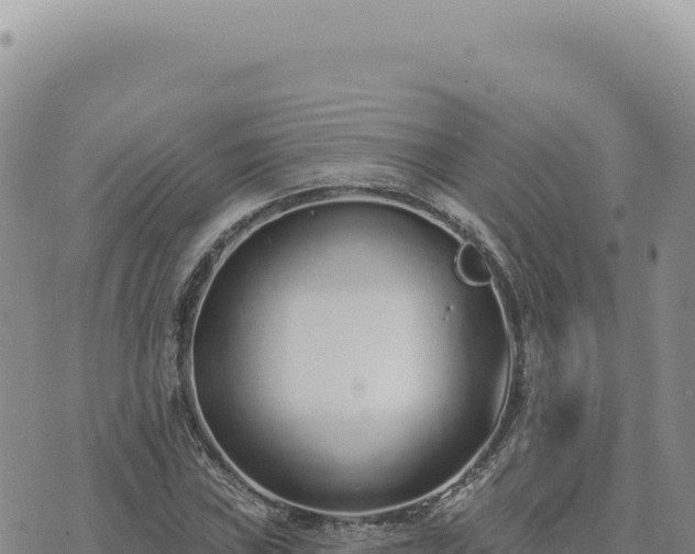 X0000073711019200608101833