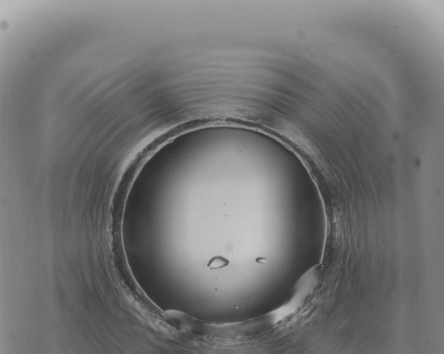 X0000073711020200608101833