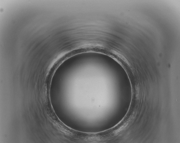 X0000073711021200608101833