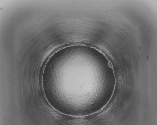 X0000073711023200608101833