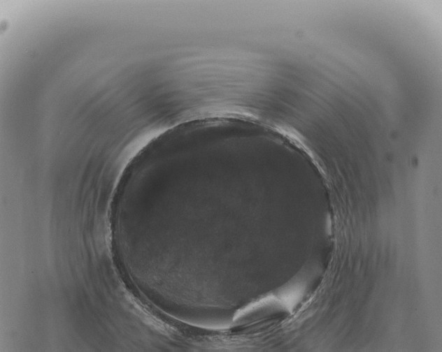 X0000073711024200608101833