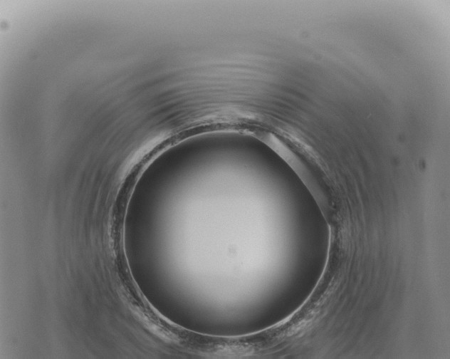 X0000073711026200608101833