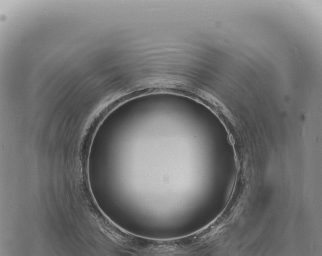 X0000073711027200608101834