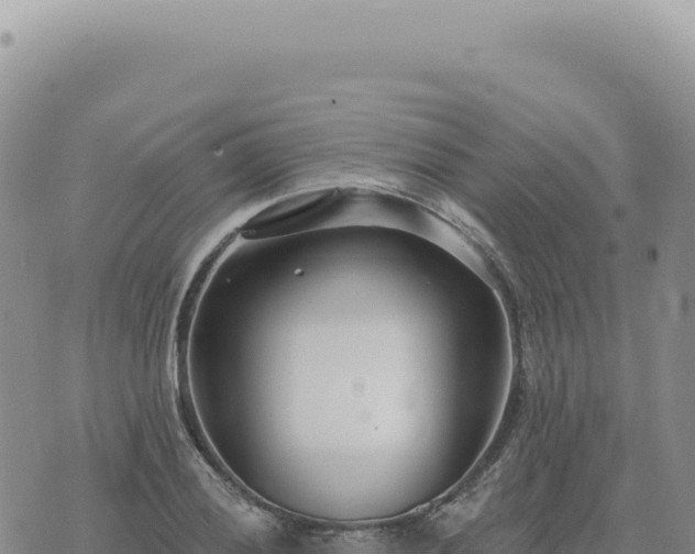 X0000073711028200608101834