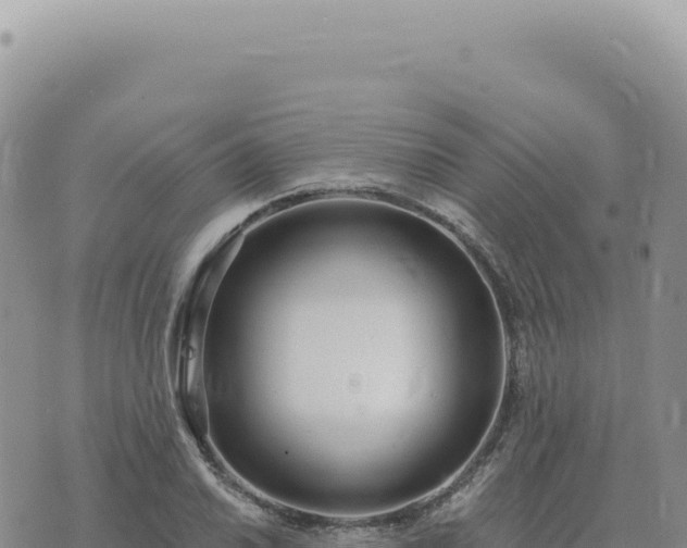 X0000073711030200608101834