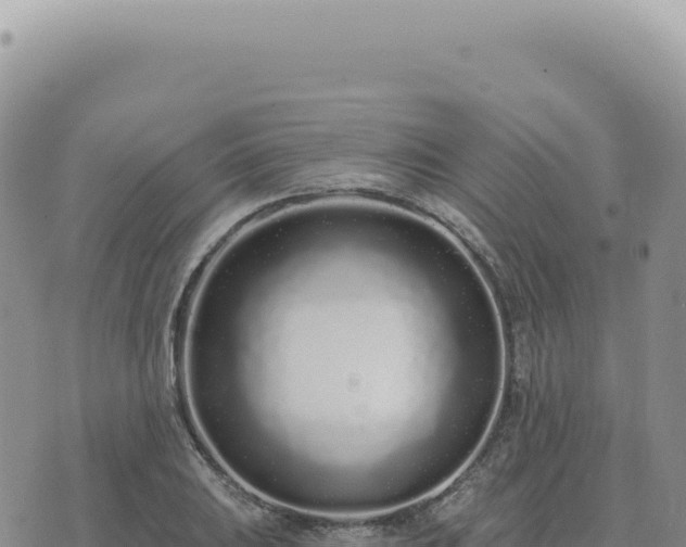 X0000073711031200608101834