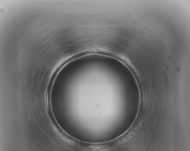 X0000073711032200608101834