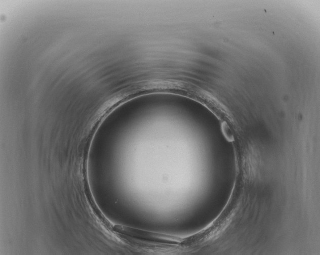 X0000073711033200608101834