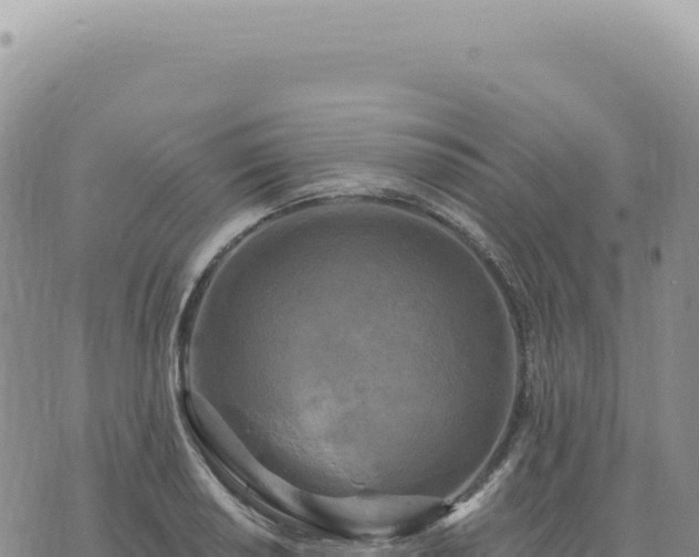 X0000073711034200608101834