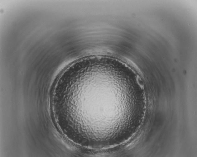 X0000073711035200608101834