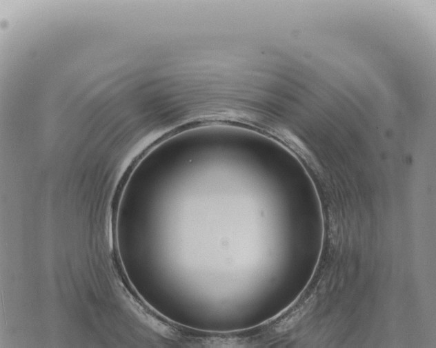 X0000073711036200608101834