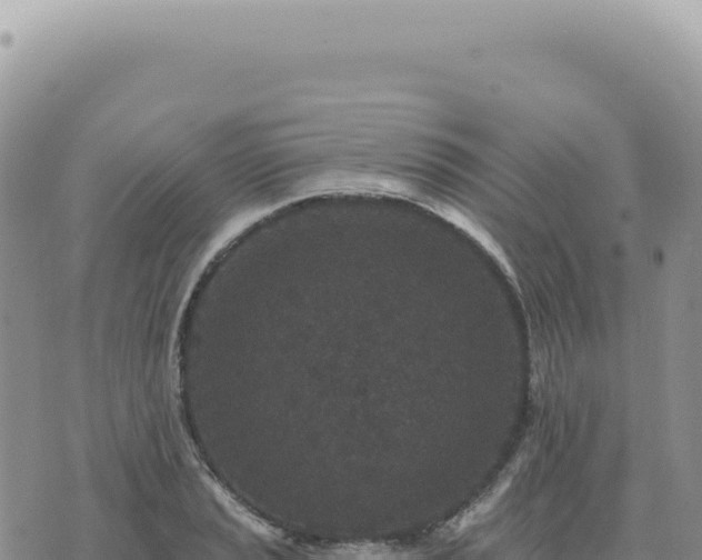 X0000073711037200608101834