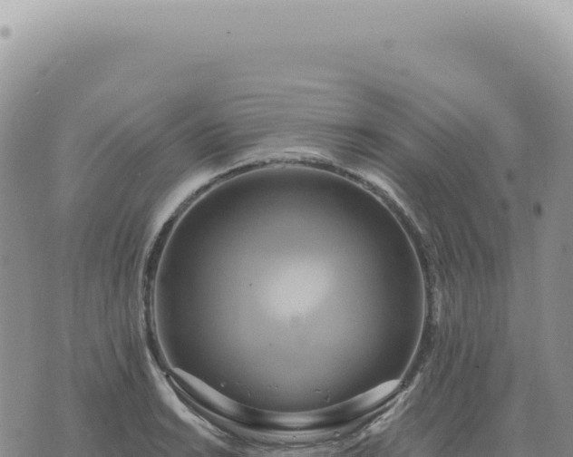 X0000073711038200608101834