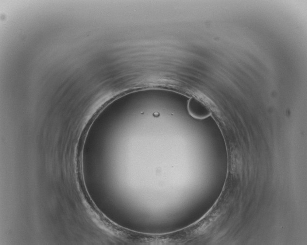 X0000073711039200608101834