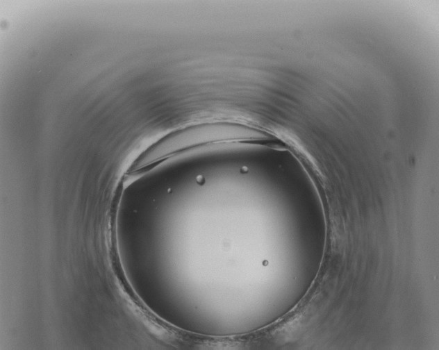 X0000073711040200608101834