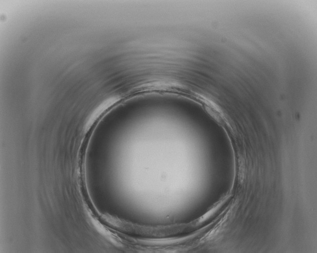 X0000073711042200608101834