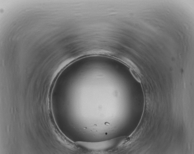 X0000073711044200608101834