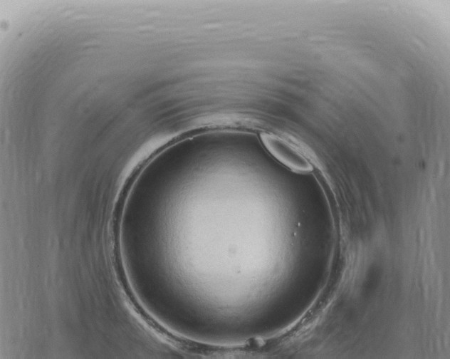 X0000073711045200608101834