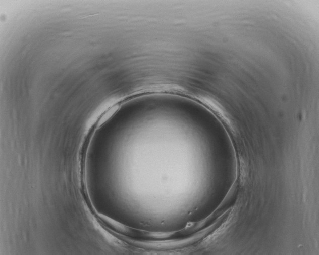 X0000073711046200608101834