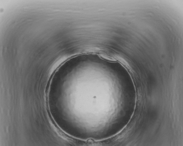 X0000073711047200608101834