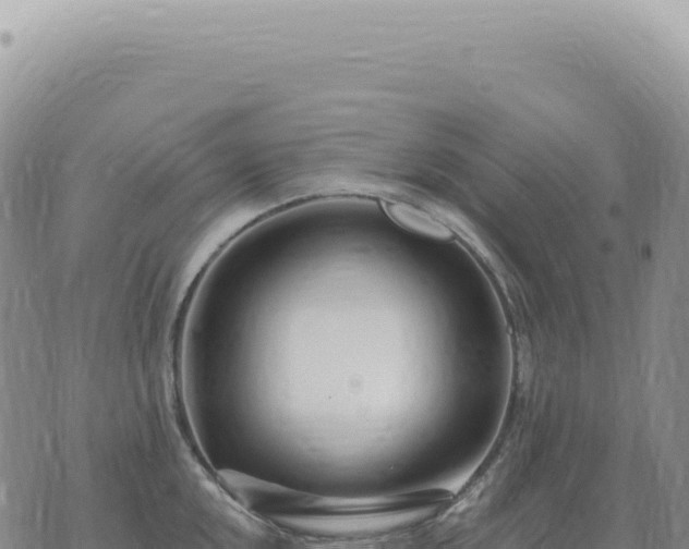 X0000073711048200608101834